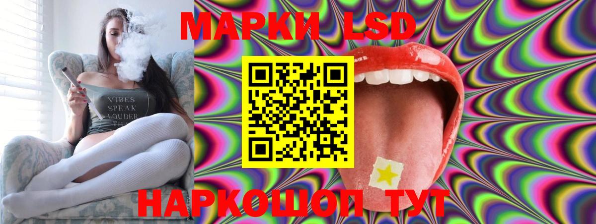 LSD-25 экстази кислота  ЛСД экстази  LSD-25 экстази кислота  Бердск  Вход с VPN 