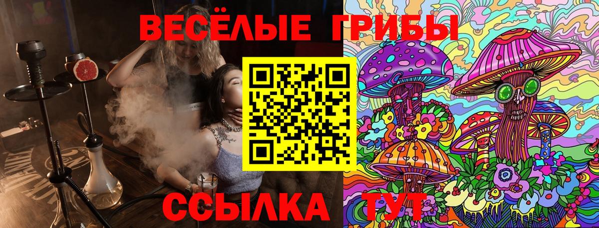 Галлюциногенные грибы прущие грибы  Вход с VPN  Галлюциногенные грибы мухоморы  Бердск 