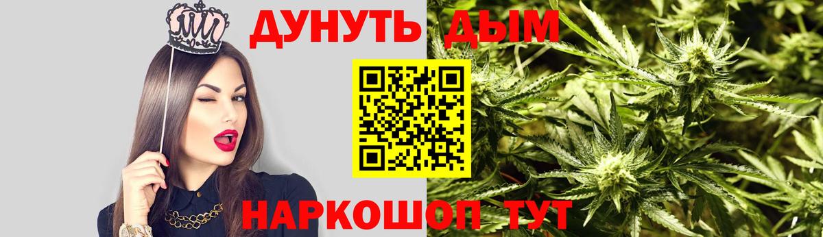 Бошки марихуана план  Бошки Шишки MAZAR  Бердск  Марихуана конопля  Вход с VPN 
